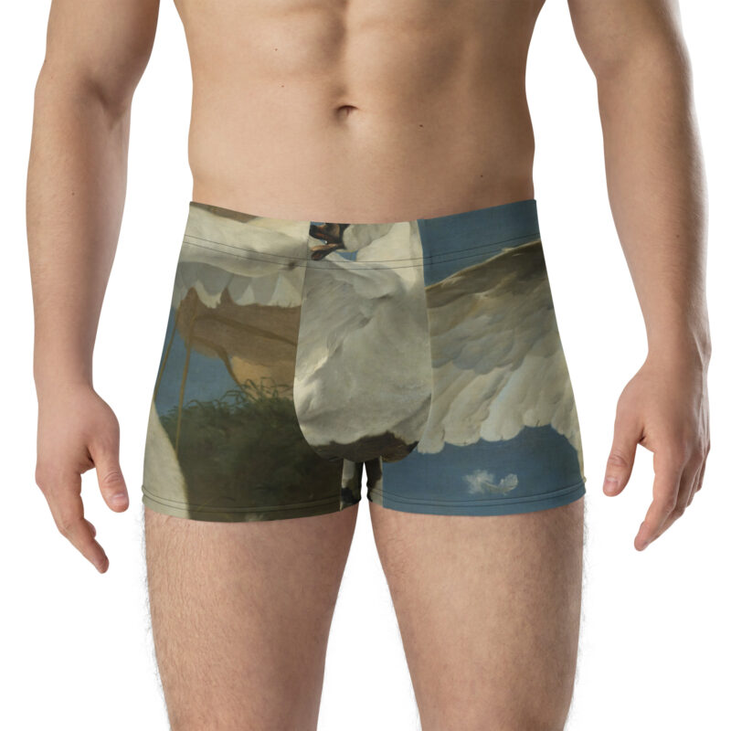 The Threatened Swan boxer briefs